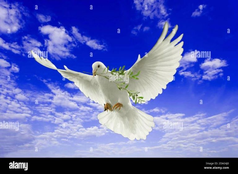 Zum Weltfrauentag – Weltfriedenstag…