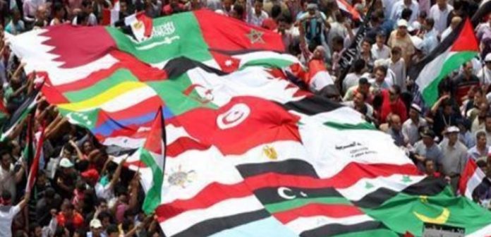 die Revolution in den arabischen und Nordafrikanischen Ländern