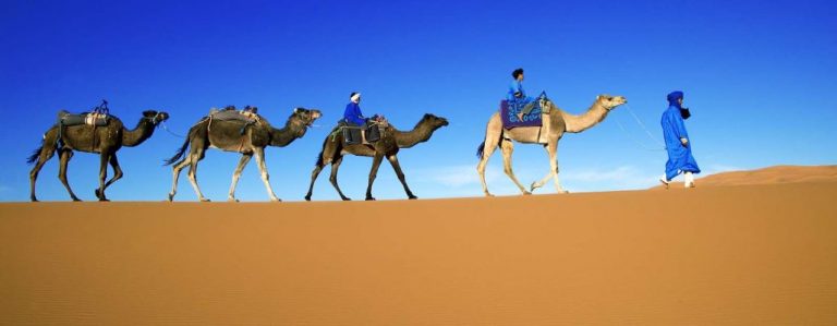 Touareg