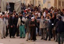 Brief an Amnesty International "Stilles Töten der imazighischen Völker in Algerien"