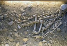 Archeology – Bones of giants found in Kabylia