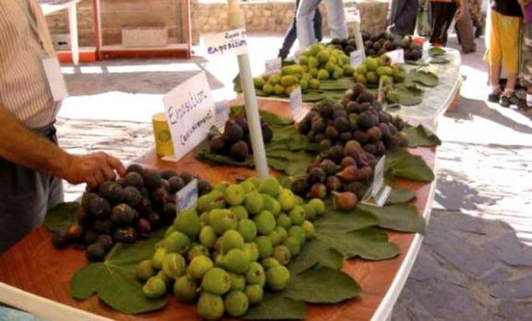 Tbexsisin n At Wemɛuc