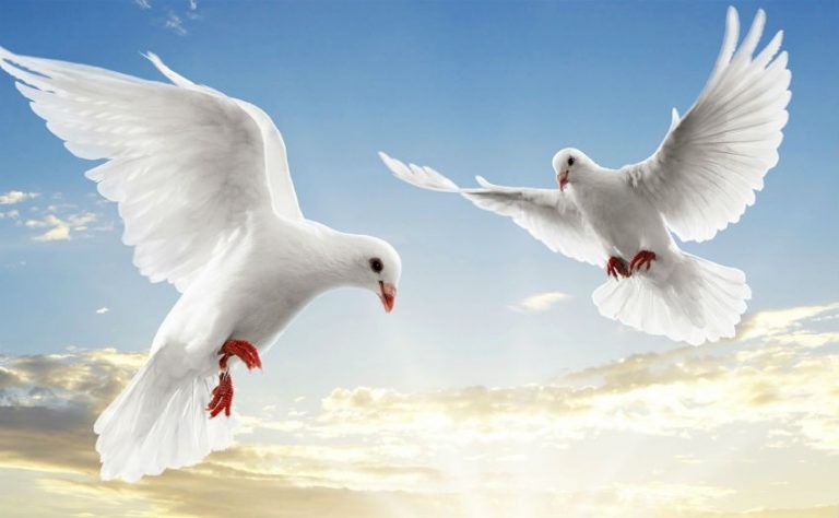 Ulac talwit  di tmurt n yeqbayliyen