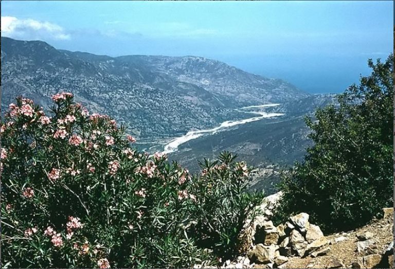 Tadiwennit n Ulhim (II)