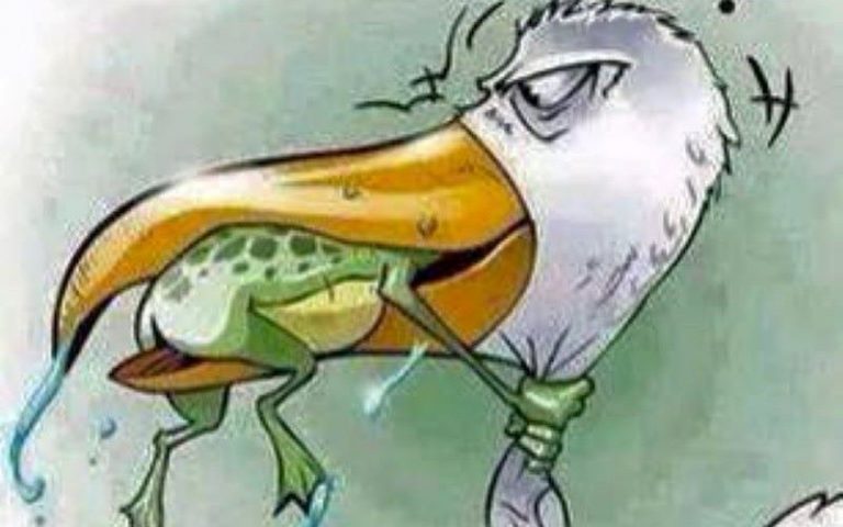 Si Lzayer tafransist ar Lzayer n taaravt