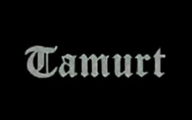 Logo Tamurt info