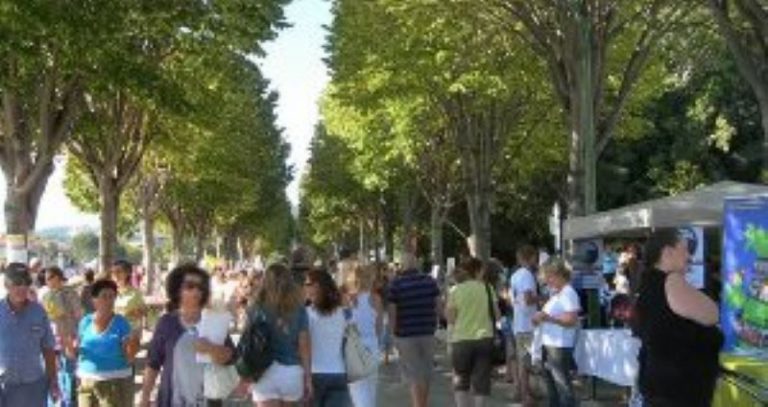 Festival des Assoiciations, Marseille