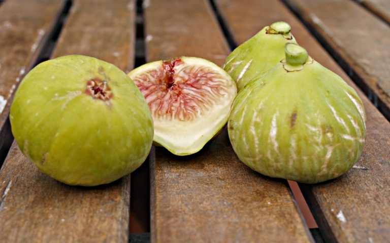 Figues kabyles