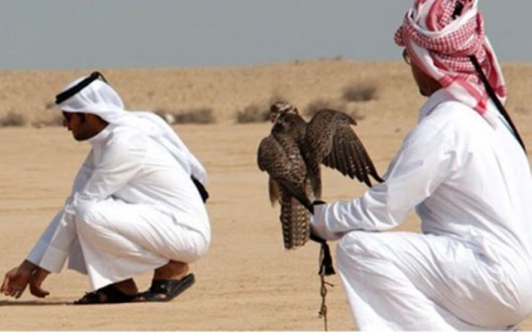 Braconnage des princes d'Arabie