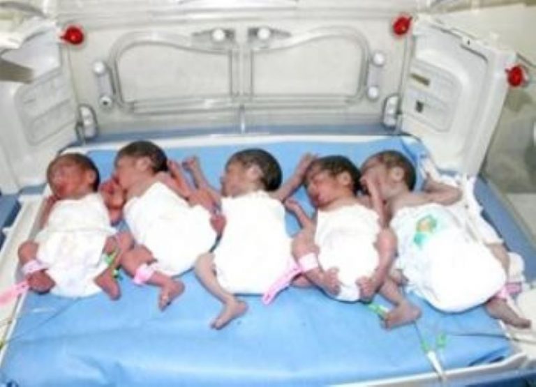 Souk el Teine, une jeune femme donne naissance à des quintuplés
