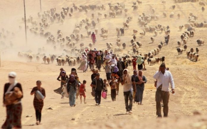 Les Yazidis
