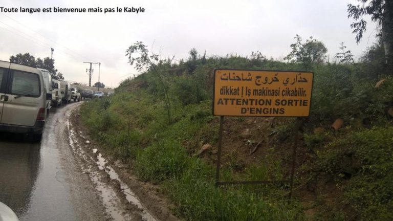 Toutes les langues sont utilisées par le pouvoir, sauf le Kabyle !