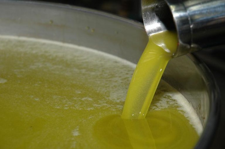 Moins de 16 millions de litres d’huile d’olive pour cette année