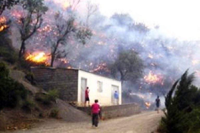 Incendies de forêts /  Un deuxième mort  enregistré à Tizi Ouzou