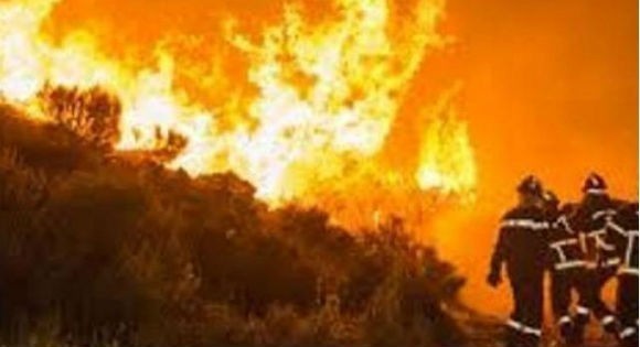 feux_de_foret-Bougie