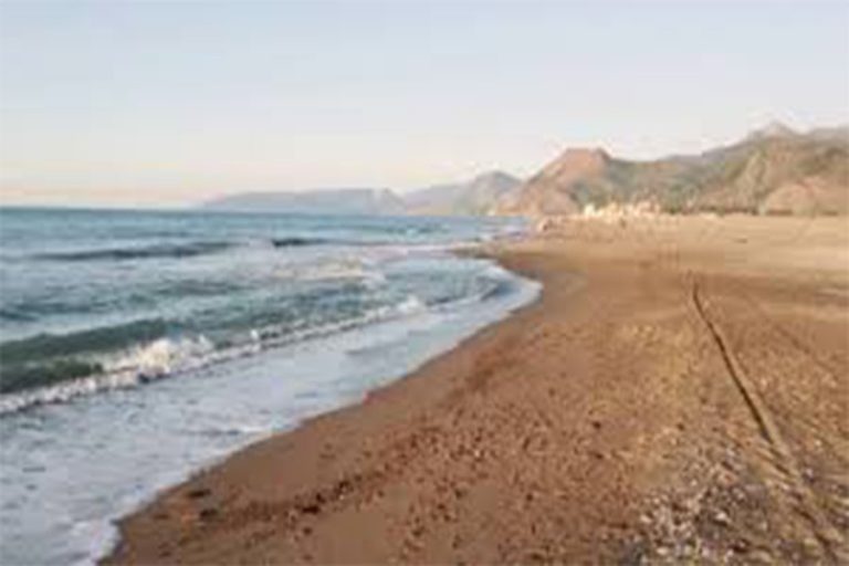 Bgayet : Le chef du groupe parlementaire du FFS dénonce le bradage du foncier