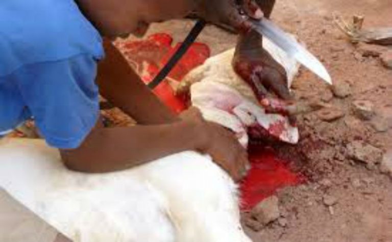 sacrifice du mouton