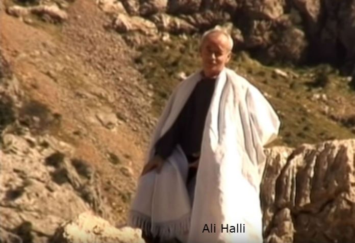 Ali Halli