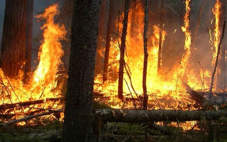 Incendie en Kabylie