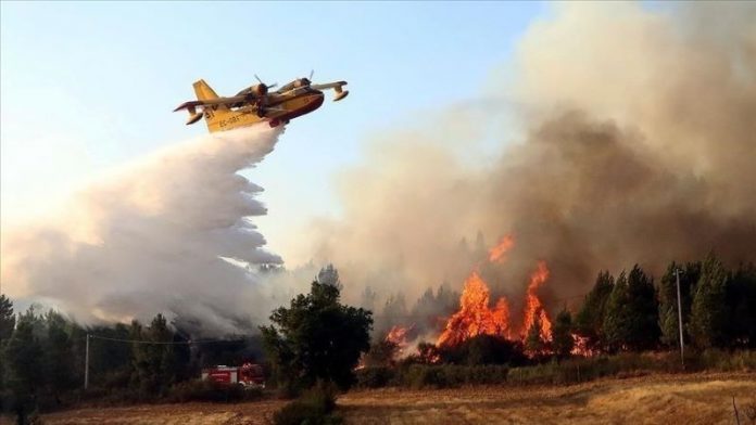 Incendies en Kabylie