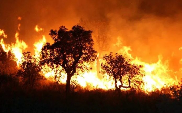 La Kabylie brûle