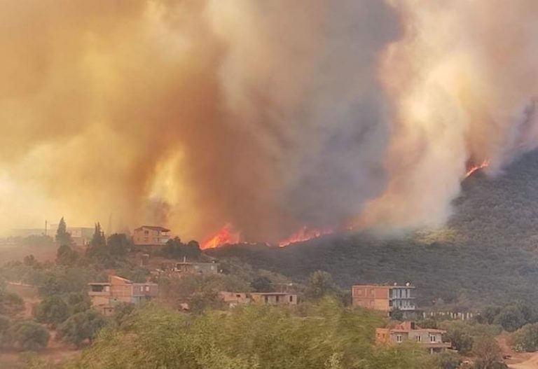 Vgayet : Des villages encerclés par les flammes