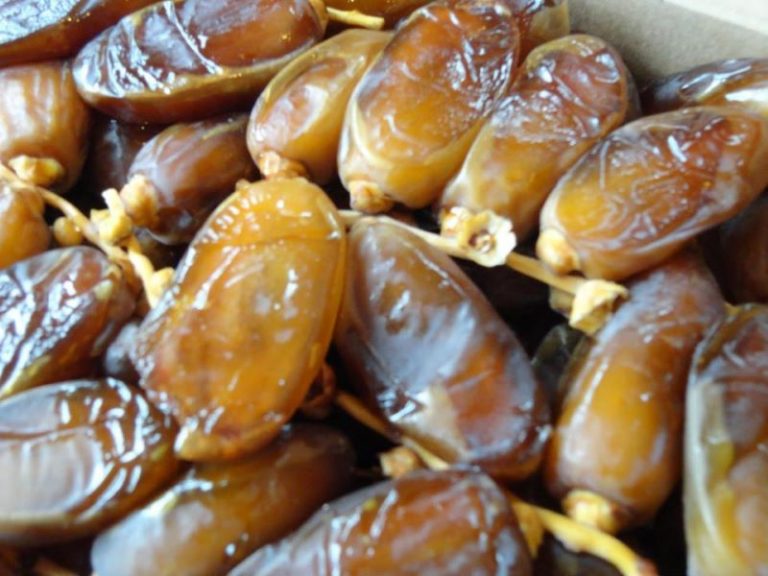 Dattes algériennes