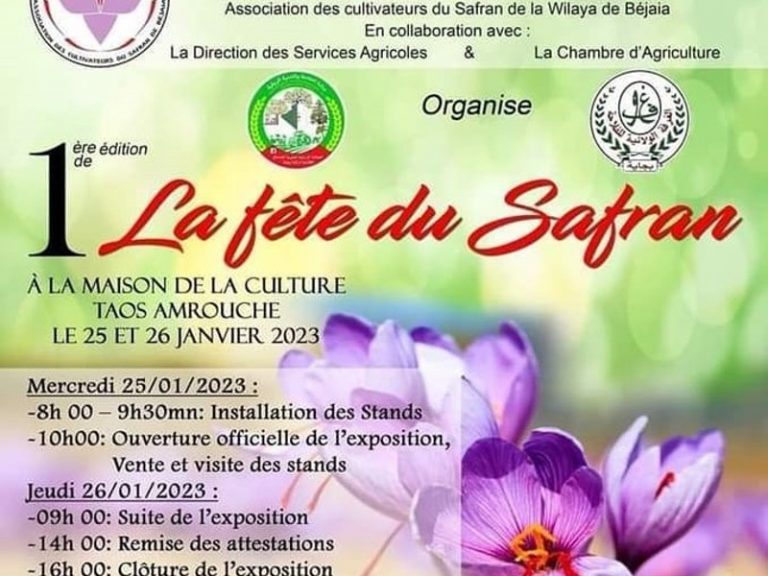 Agriculture : Vgayet tient sa première fête du Safran, l’épice la plus chère au monde