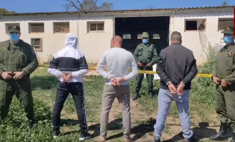 Trafic de la viande d'âne en Algérie pendant le ramadan