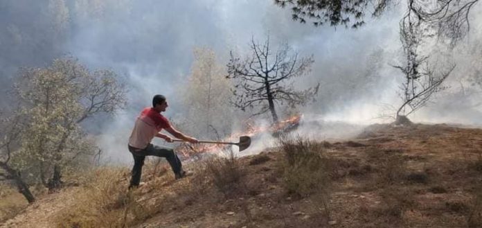 Un citoyen luttant avec des moyens dérisoires contre les feux