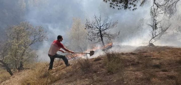 Un citoyen luttant avec des moyens dérisoires contre les feux