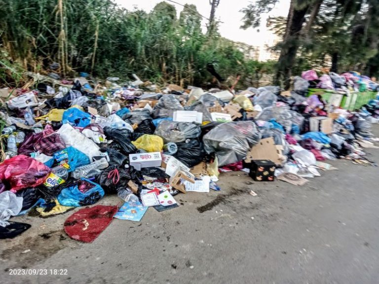 Décharge sauvage à Bejaia