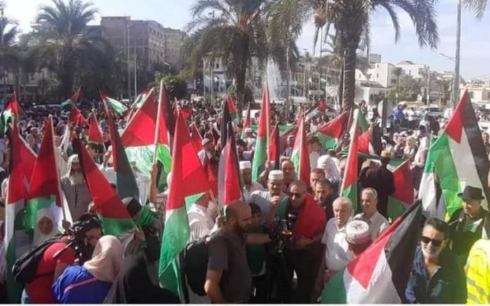 Manifestation pro palestine