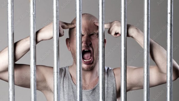 La folie en prison La folie en prison