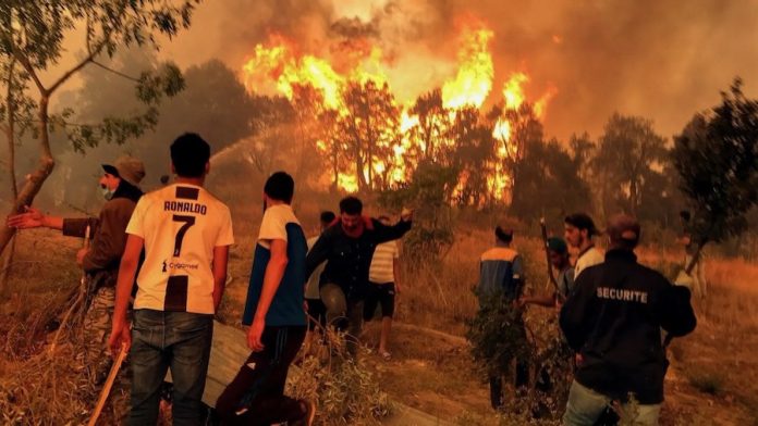 Incendies à Bgayet et Ait Ourtilane Incendies à Bgayet et Ait Ourtilane