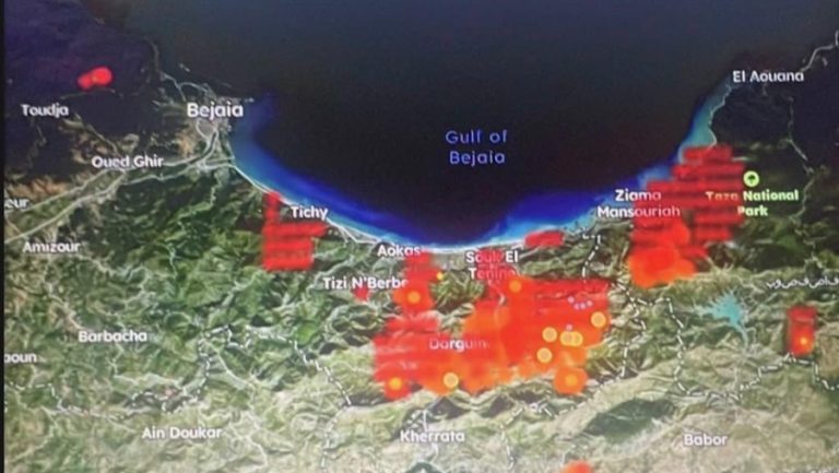 Les incendies en Kabylie, carte de la NASA