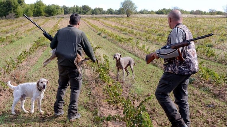La chasse
